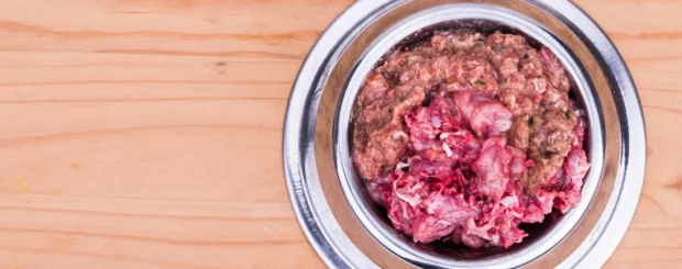 barf etetés, barf etetés kutyáknak, barf etetés kutyáknak kezdőknek, barf arányok kutyának, mennyi csontot ehet a kutya barfban, barf kölyökkutyának mikortól, barf kiegészítők