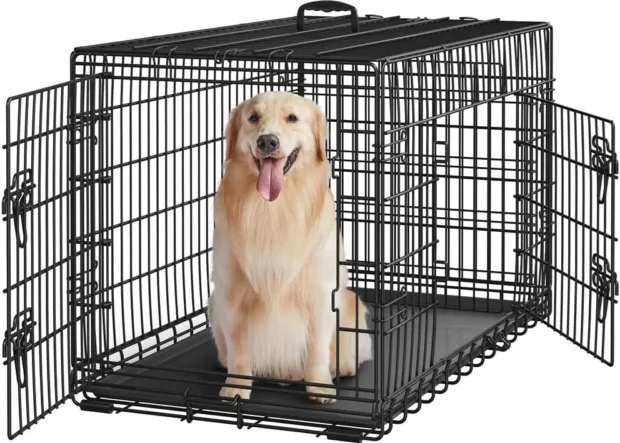 Kutya kennel, kennel, kutya szoba kennel, boxhoz szoktatás kutyának, kennelhez szoktatás kutyának, kutya sír a boxban mit tegyek, meddig lehet a kutya a boxban