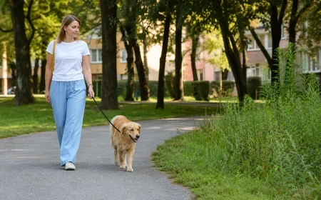 Kutyájával sétáló gazdi rendezett lakótelepi parkban, távol a gyomos területtől