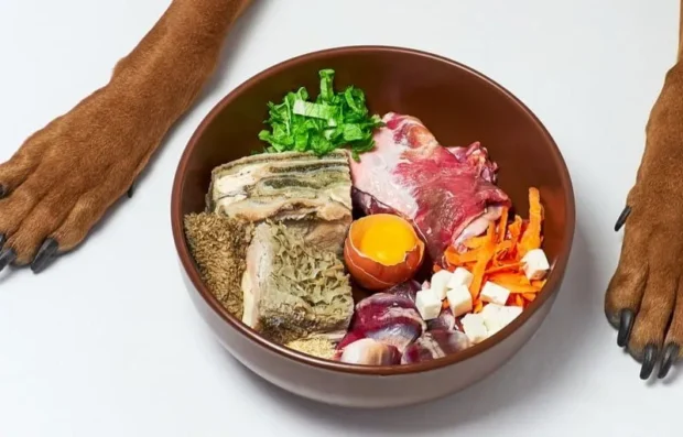 barf etetés, barf etetés kutyáknak, barf etetés kutyáknak kezdőknek, barf arányok kutyának, mennyi csontot ehet a kutya barfban, barf kölyökkutyának mikortól, barf kiegészítők