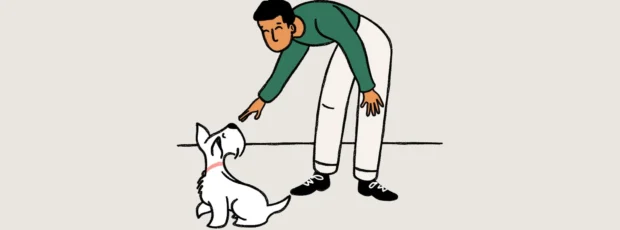 behívás tanítása kutyáknál, kutya behívás tanítása, gyere ide parancs kutyának