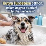kutya fürdetés, kutya fürdetés otthon, milyen gyakran kell fürdetni a kutyát, hogyan fürdessük a kutyát aki fél a víztől, kutyasampon melyiket válasszam