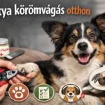 kutya körömvágás, karom, kutya köröm, kutya körömvágás otthon, mikor kell vágni a kutya körmét, hogyan vágjuk a kutya körmét otthon, fél a kutya a körömvágástól